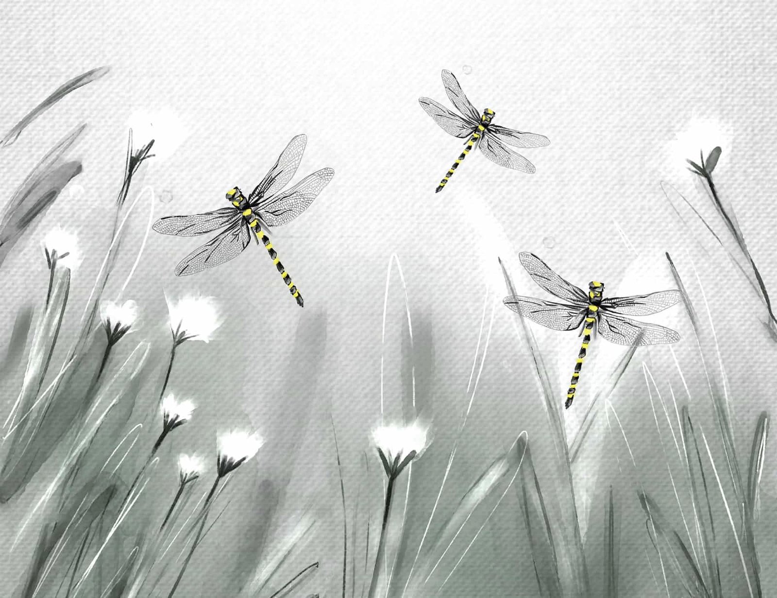 Fly high like a Dragonfly wallpaper 1