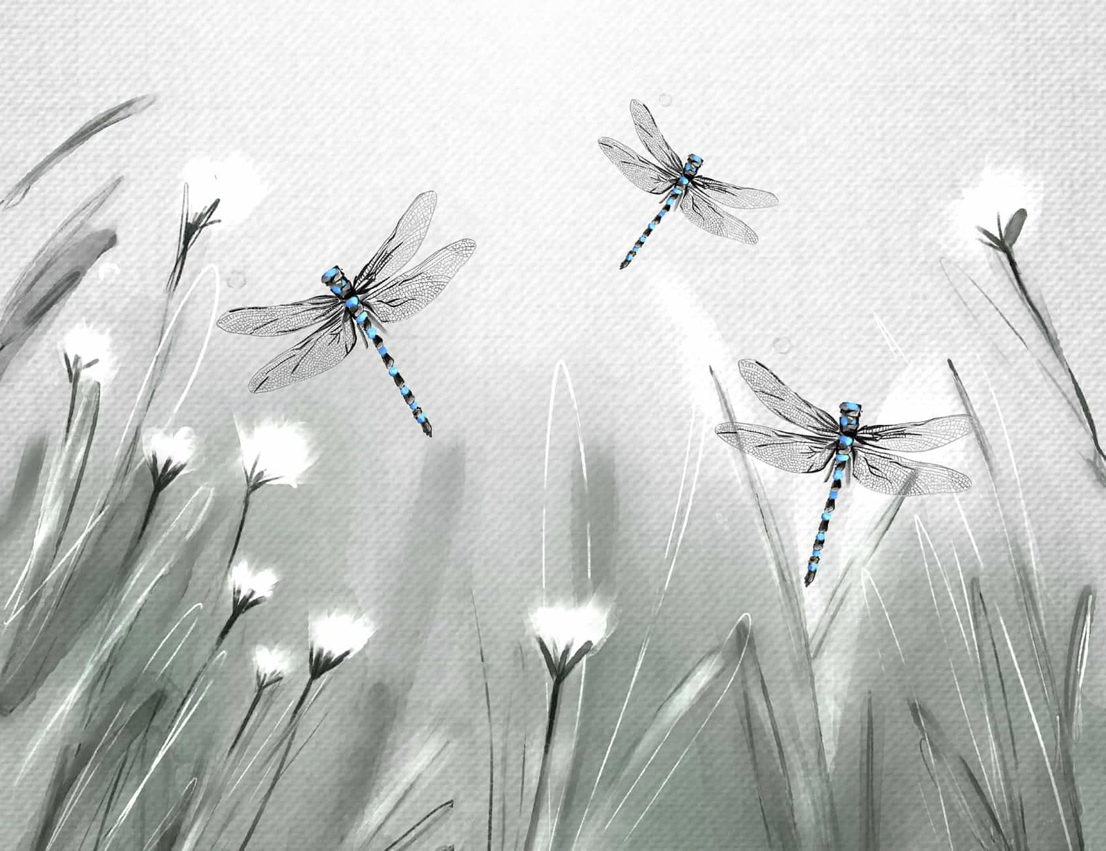 Fly high like a Dragonfly wallpaper 2