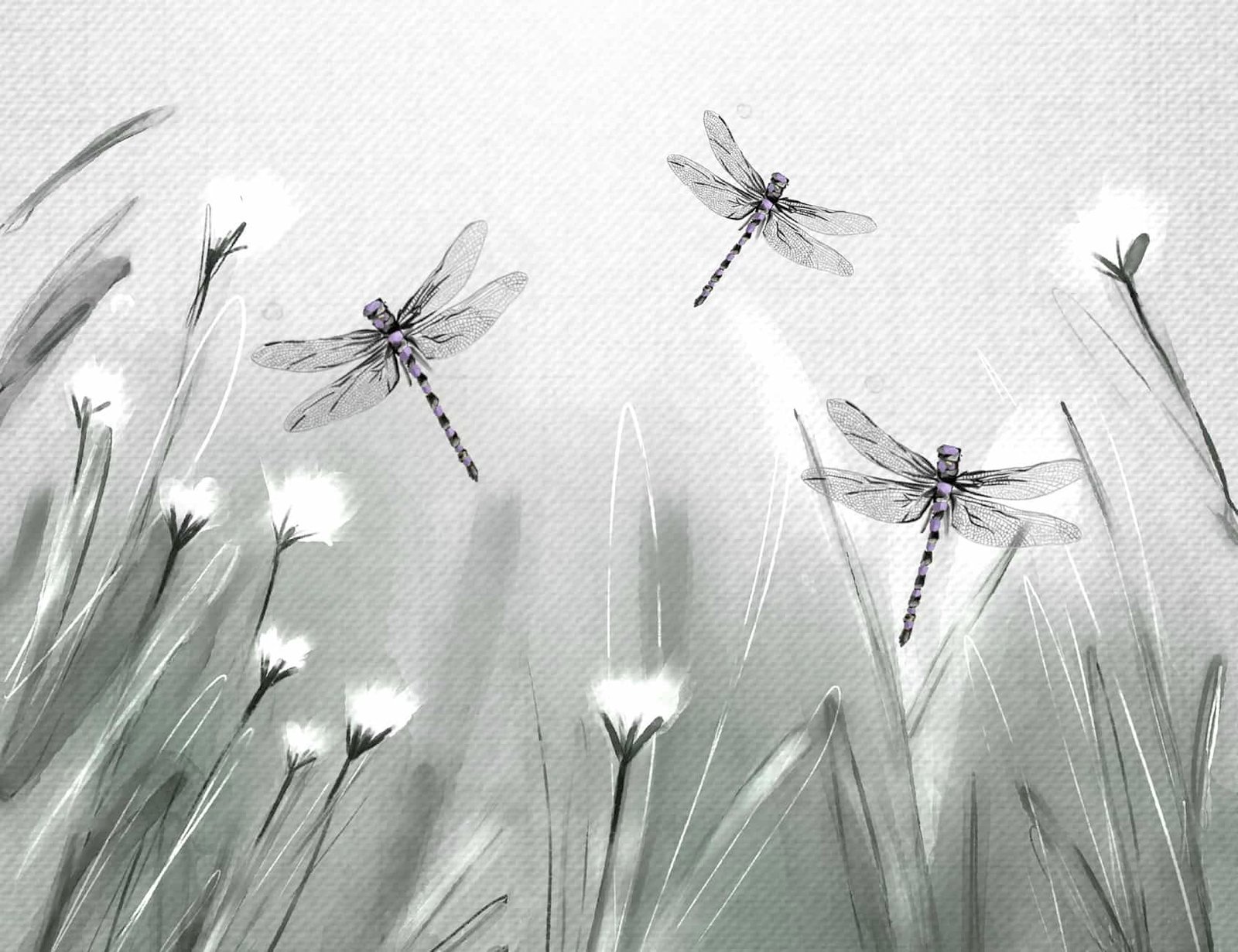 Fly high like a Dragonfly wallpaper 3